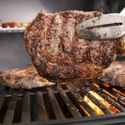 Weber Genesis E-315-gasbarbecue