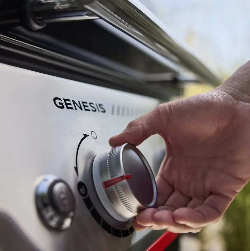 Weber Genesis® E-415W-gasbarbecue
