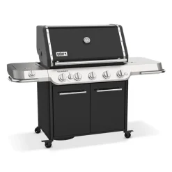 Weber Summit FS38 E-gasbarbecue black