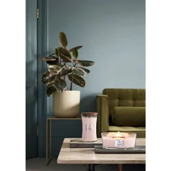 Woodwick Geurkaars Ellipse Sheer Tuberose