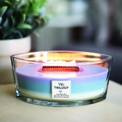 Woodwick Trilogy Geurkaars Medium Calming Retreat