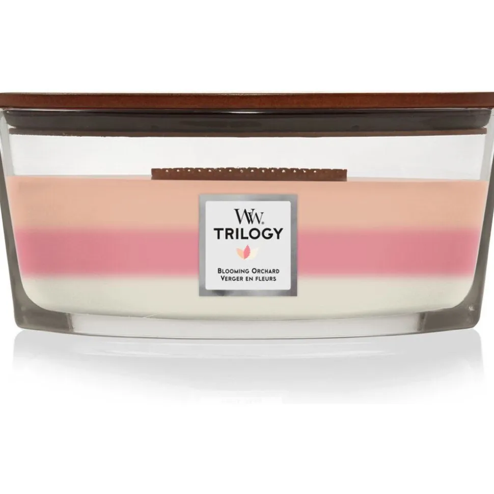 Woodwick Trilogy Geurkaars Ellipse Blooming Orchard
