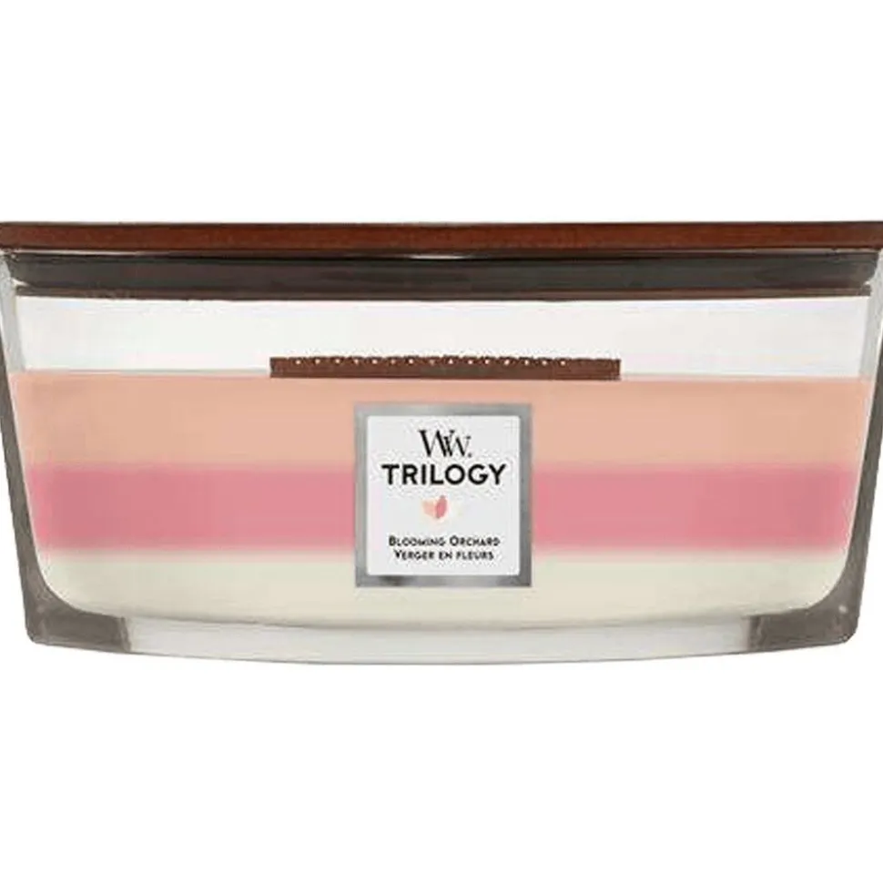 Woodwick Trilogy Geurkaars Ellipse Blooming Orchard