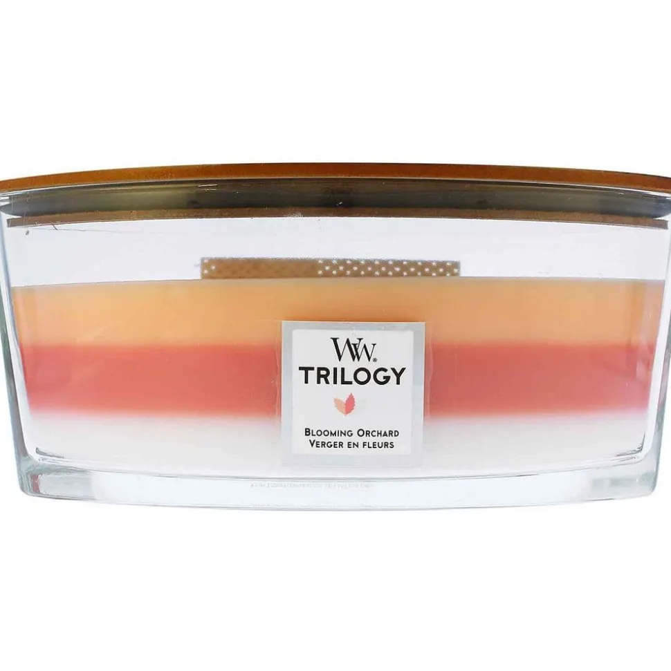 Woodwick Trilogy Geurkaars Ellipse Blooming Orchard