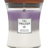 Woodwick Trilogy Geurkaars Medium Amethyst Sky