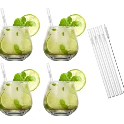 Zwiesel Glas Vina Cocktailglazenset 4-delig