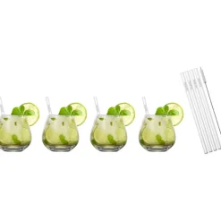 Zwiesel Glas Vina Cocktailglazenset 4-delig